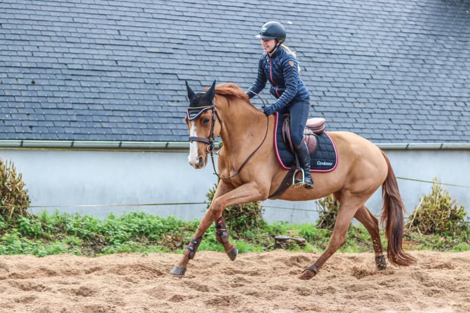 cheval galop cavalier