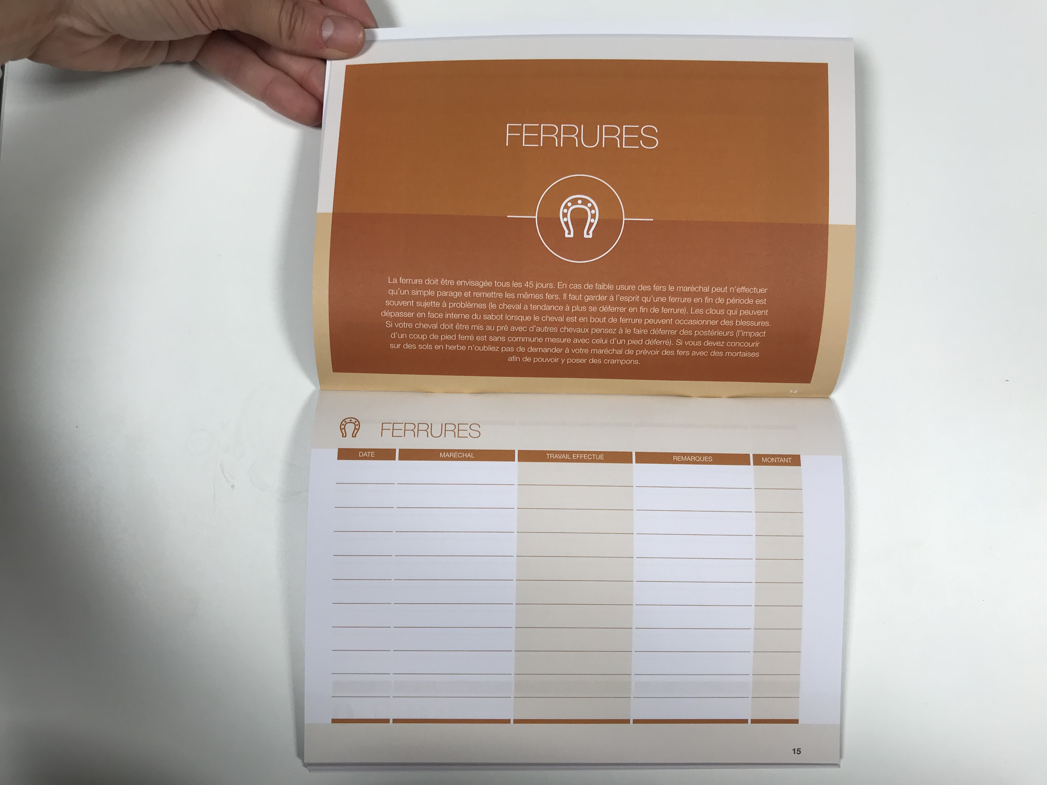carnet santé ferrure