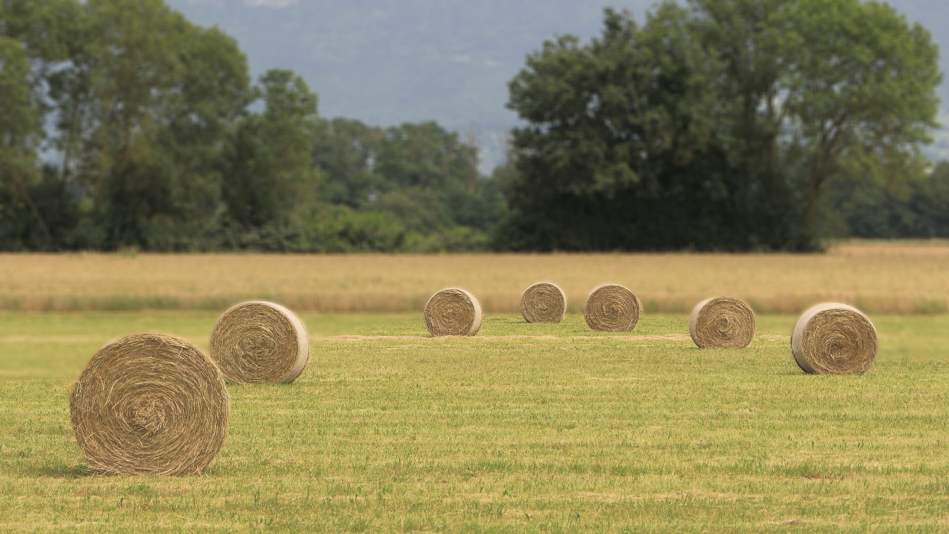 foin roundballer hay