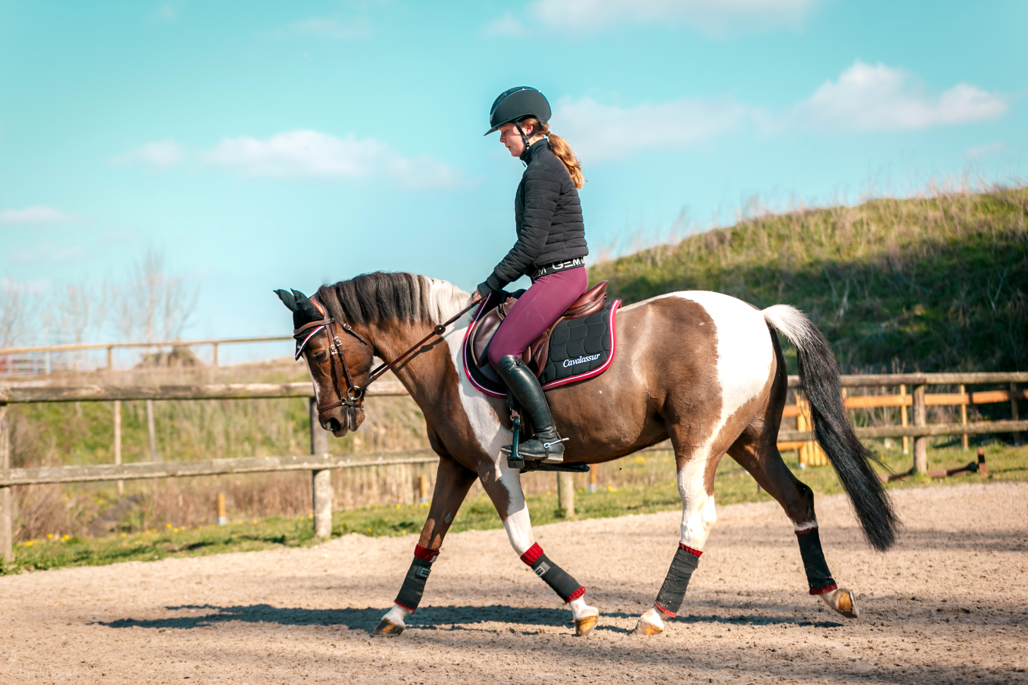 poney trot cavalière