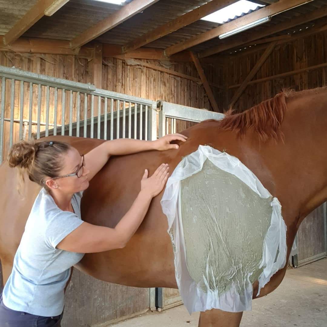 massage cheval algues