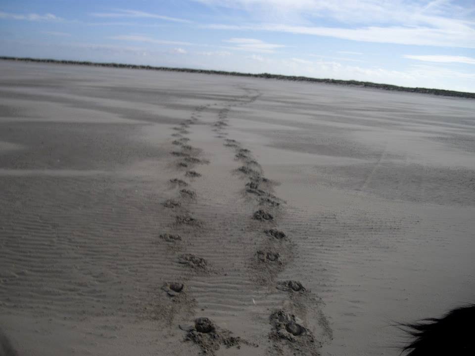 plage sable sabot