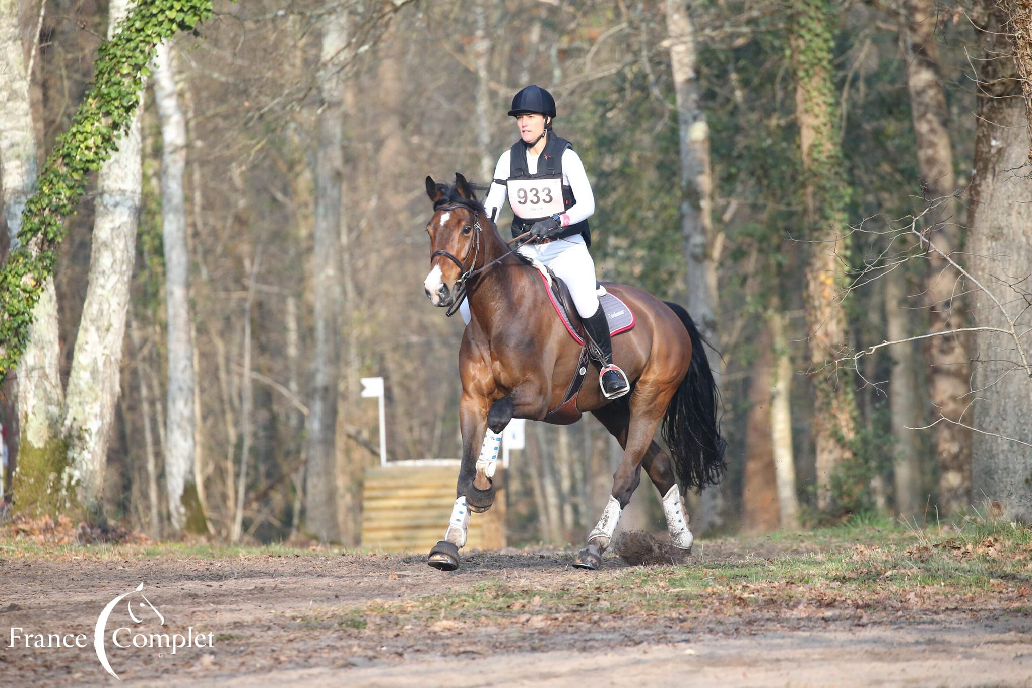 cheval cross galop