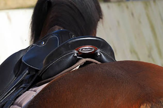 Le saddle fitting, pourquoi?