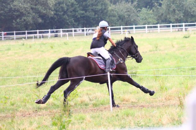 La préparation du cheval à l'effort