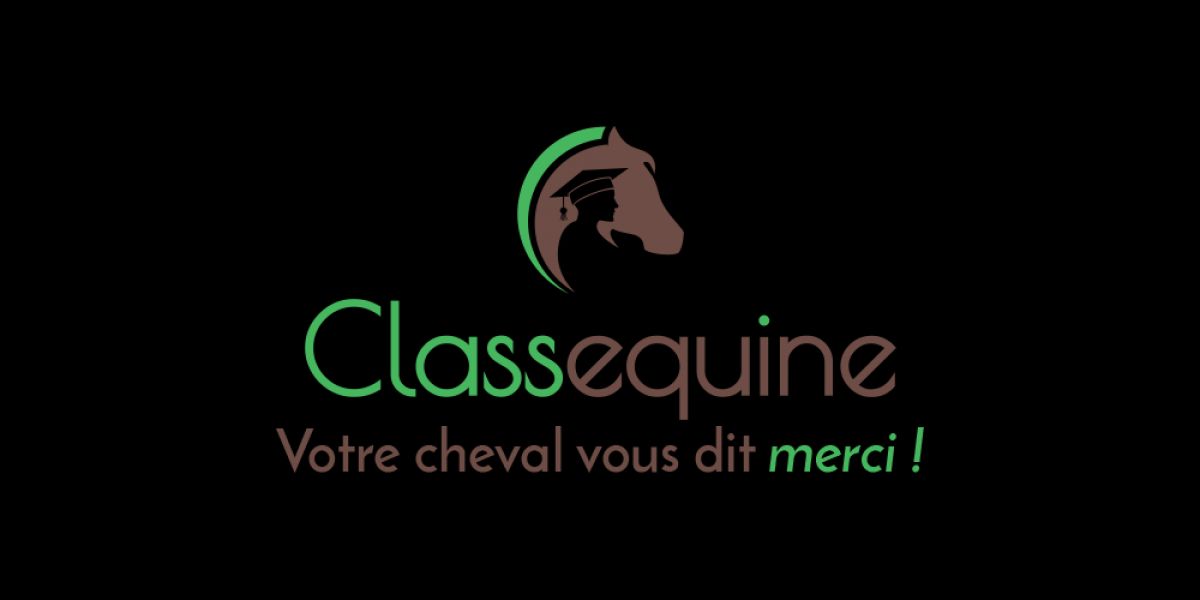 Partenariat Cavalassur//Classequine