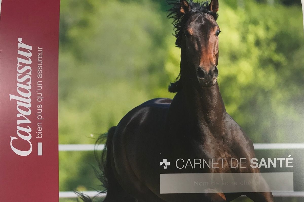 Le carnet de santé Cavalassur
