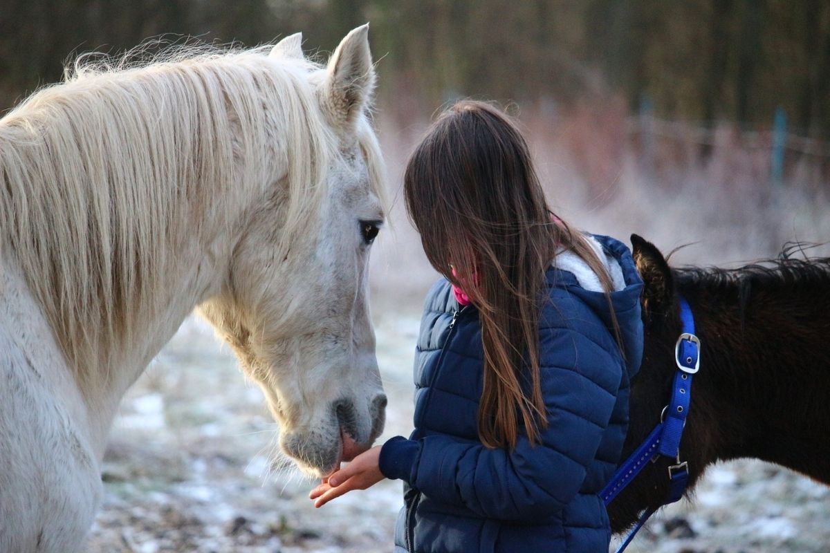 Lutter contre le froid quand on est cavalier