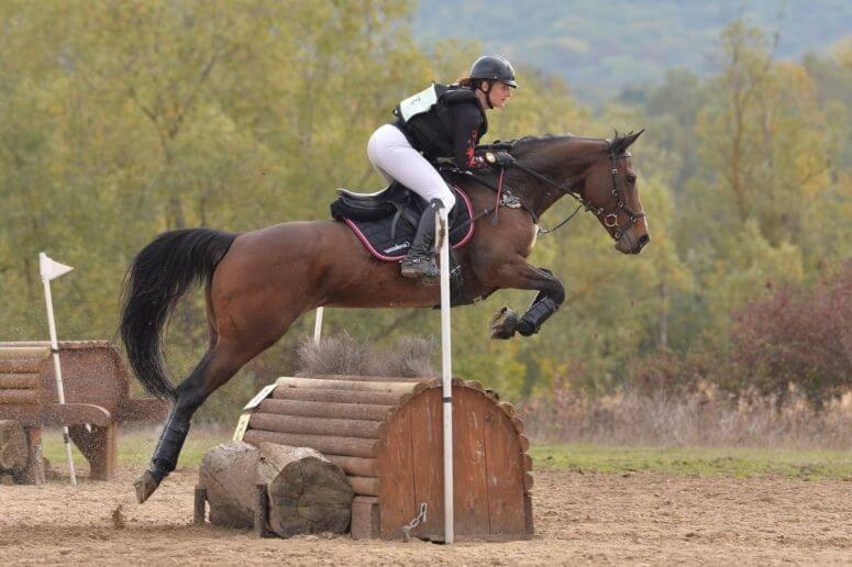 Comment choisir son pantalon d'équitation ? - Blog Equestra