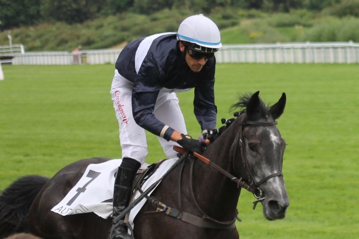 L'assurance du cheval de course