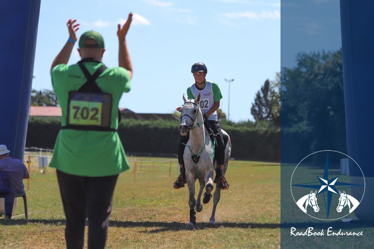 Endurance: Participer à une course