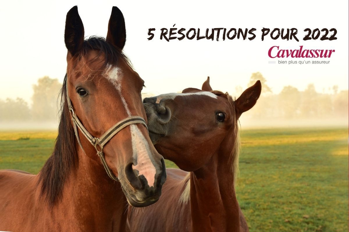 5-resolutions-pour-2022
