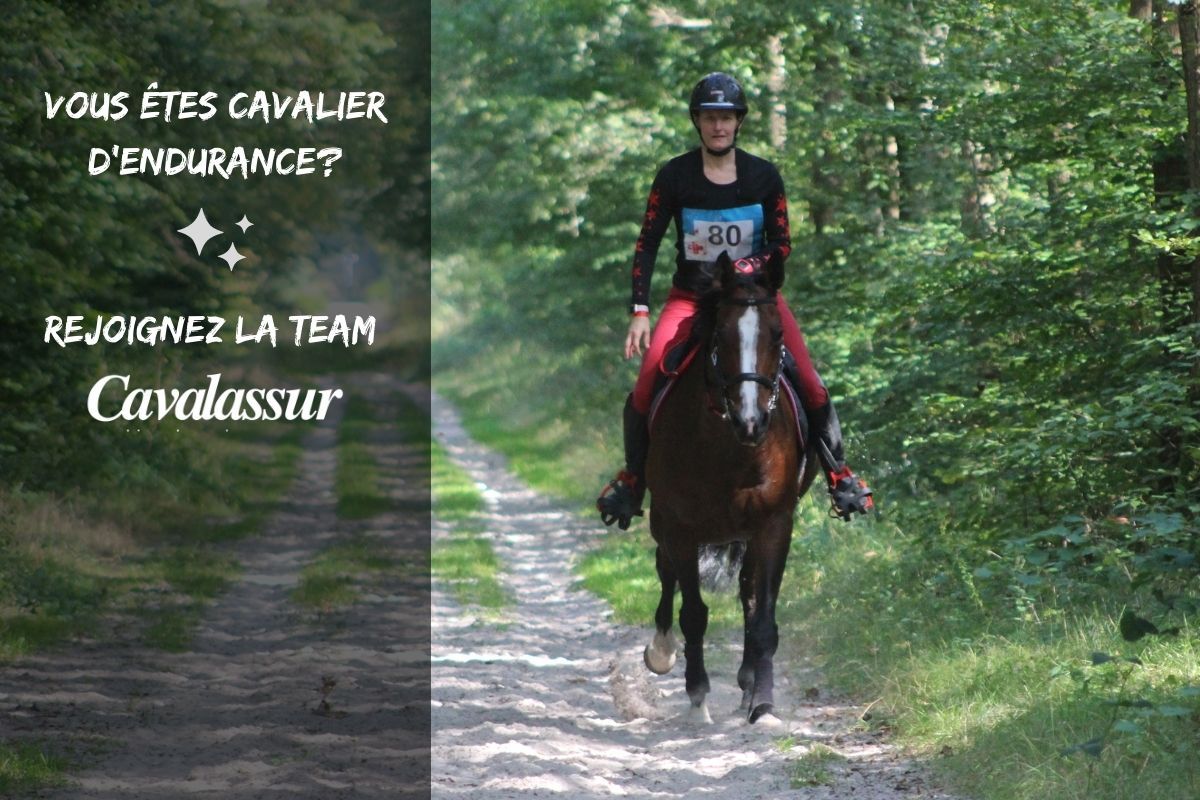 Cavalier d'endurance: rejoignez la team Cavalassur