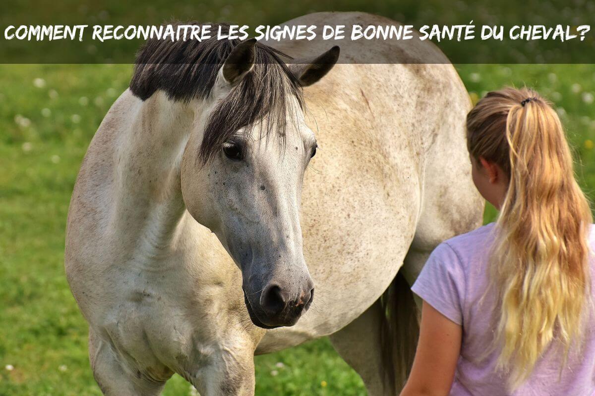 Reconnaitre les signes de bonne santé du cheval