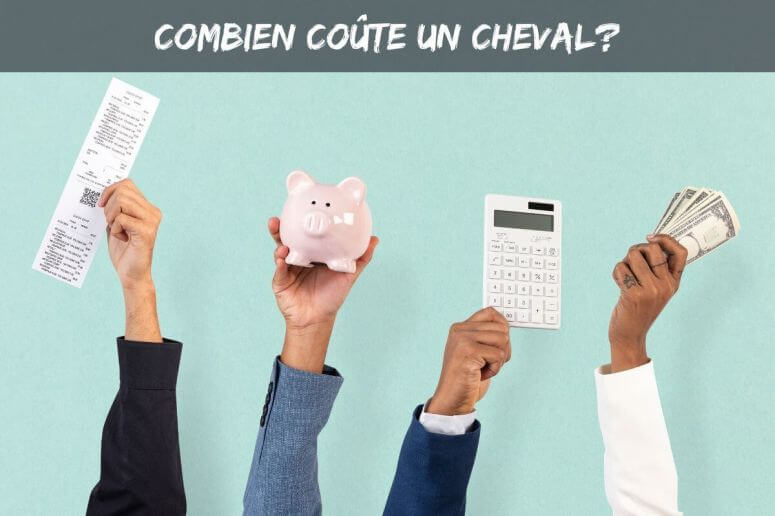 Combien coûte un cheval?