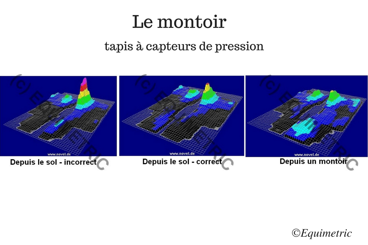 Saddle fitting: Le montoir